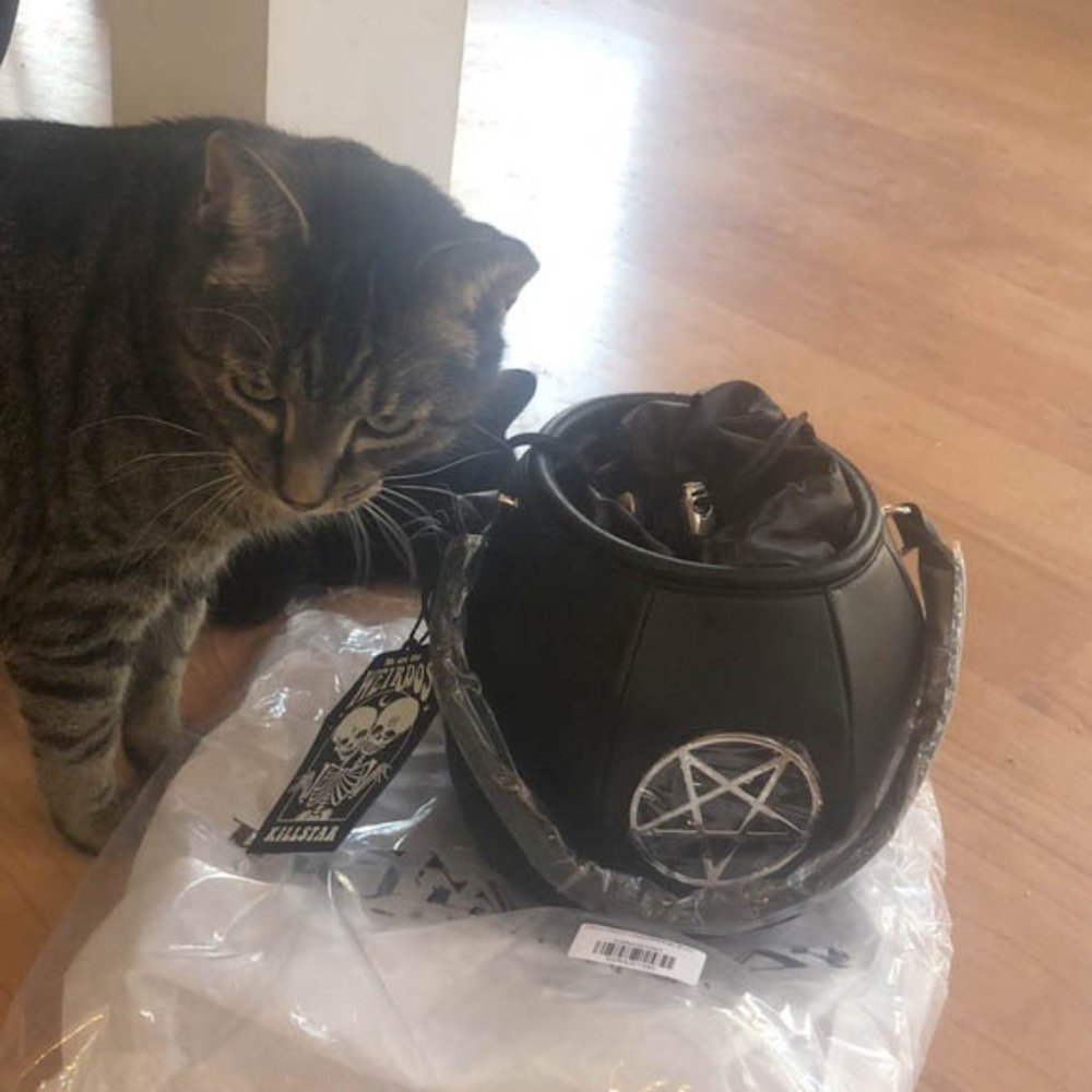 Killstar witch Cauldron Handbag Purse nwt RARE - Picture 15 of 16